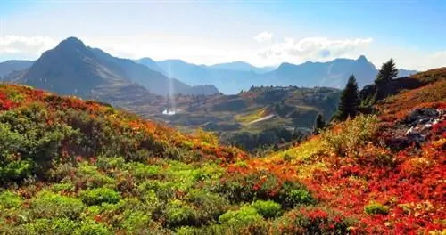 10 менее людных альтернатив самым популярным национальным паркам США