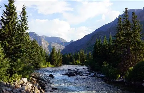 Откройте для себя дикую природу без толпы в Национальном лесу Кастер Галлатин.