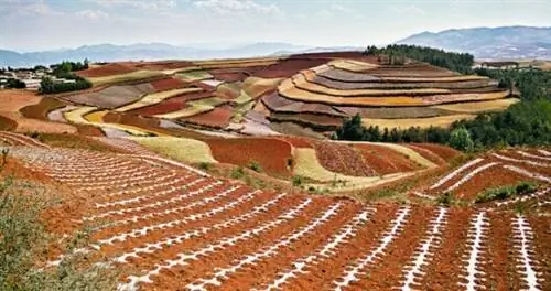 8 причин, по которым Юньнань считается лучшим местом для еды в Китае