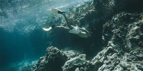 8 лучших занятий на Британских Виргинских островах