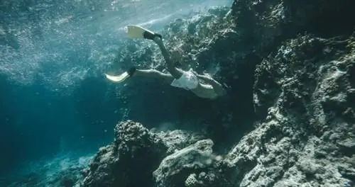 8 лучших занятий на Британских Виргинских островах