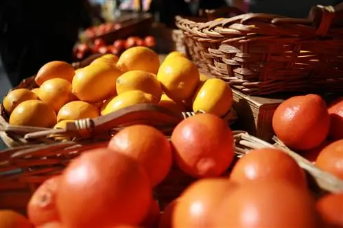 Найдите изобилие свежей сельскохозяйственной продукции Калифорнии на четырех местных фермерских рынках, которые посещают как лучшие шеф-повара, так и местные жители.