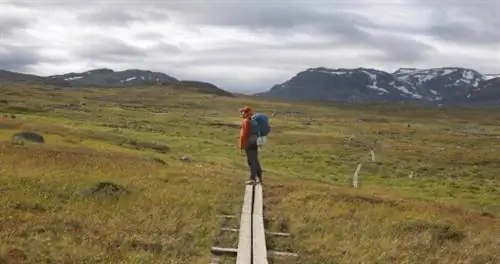 Каково это - путешествовать по стране северных оленей в Швеции