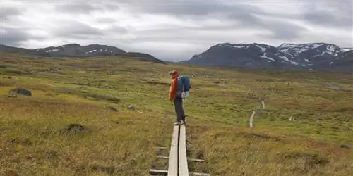Каково это – путешествовать по стране оленей в Швеции
