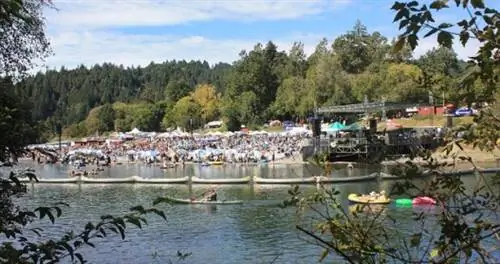 Как проесть свой путь вдоль русской реки