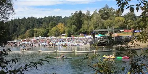 Как проесть свой путь вдоль Русской реки