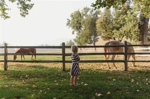 Семьи могут получить классическое ранчо в Калифорнии на Alisal Guest Ranch and Resort.