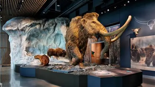 Отправляйтесь всей семьей в Музей Белла, чтобы увидеть диорамы дикой природы, зеленую крышу и ультрасовременный планетарий.