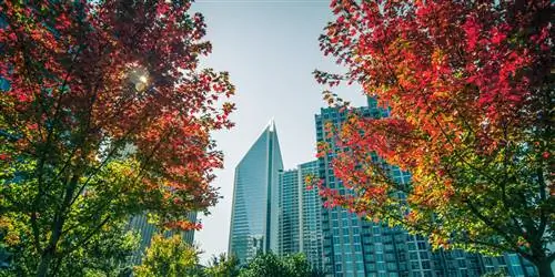 Города США, которые стоит посетить этой осенью