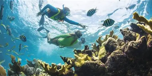 Что делает это место одним из лучших в Америке для экологических приключений