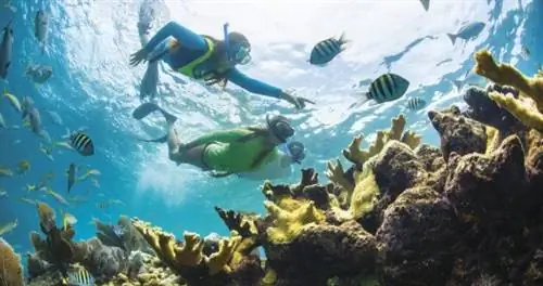 Что делает это место одним из лучших в Америке для эко-сказочных приключений