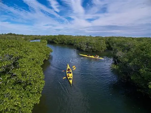открытый-uri20200110-14898-1plff3y