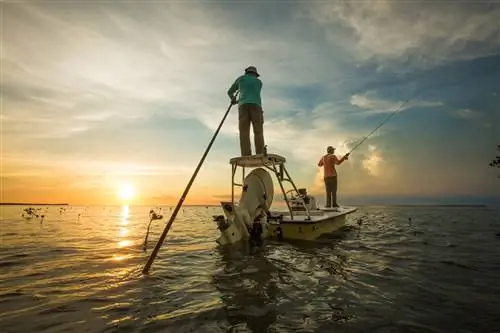 открытый-uri20200110-14626-1ba11af