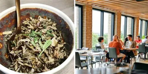 Обязательное питание: 10 продуктов, которые нельзя пропустить в Миннесоте