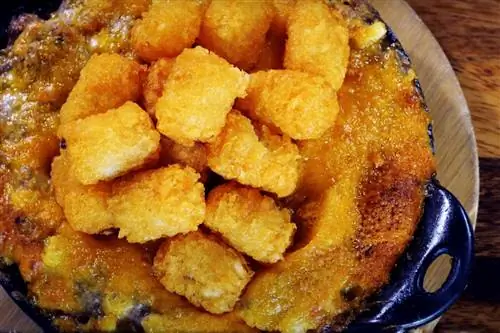 Чтобы почувствовать настоящий вкус Миннесоты, закажите горячее блюдо Tater Tot в ресторане Mason Jar Kitchen.