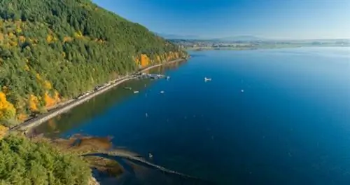 Почему Эдисон, штат Вашингтон, - это место для отдыха, наполненное едой и искусством, которое вам нужно