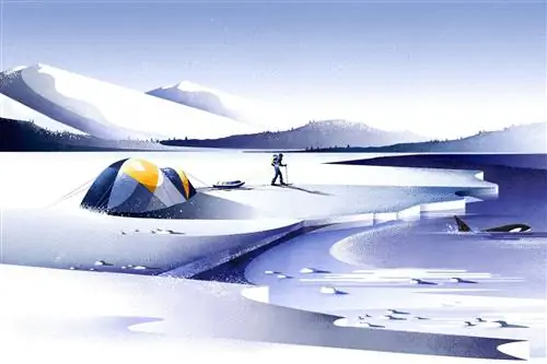 Западное побережье Антарктиды также является одной из самых быстро прогревающихся частей планеты.