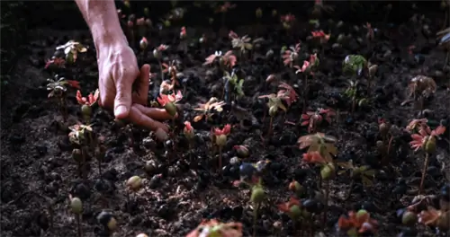 В Бразилии открываем положительные стороны волонтерского туризма