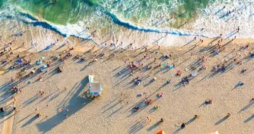 США откроют сухопутные границы с Канадой и Мексикой для привитых путешественников