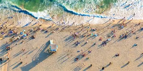 США откроют сухопутные границы с Канадой и Мексикой для привитых путешественников