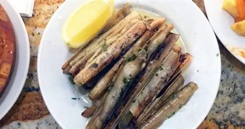 Удивительная причина, почему в Испании большие и длинные обеды