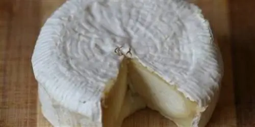 6 сыров, для поиска которых нужно лететь (и, возможно, даже ходить пешком)