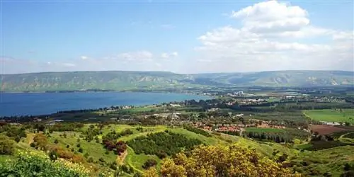 Поиски этого ингредиента перенесут вас в самое сердце Израиля