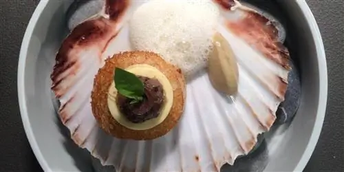 Где найти лучший гребешок во Франции (и почему вы этого хотите)