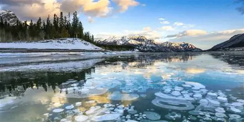 7 основных мест для посещения в Альберте