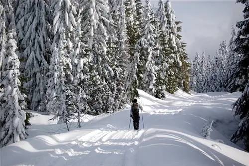 Семья пробует покататься на беговых лыжах в Breckenridge Nordic Center в Колорадо.