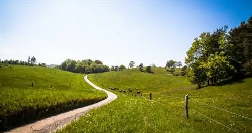 Почему Страна викингов - идеальное место для побега из Дании