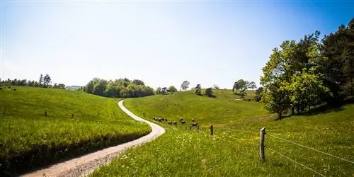 Почему Страна викингов - идеальное место для отдыха в Дании