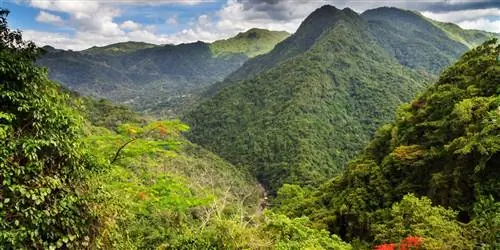 Пуэрто-Рико, которого больше всего пропускают путешественники