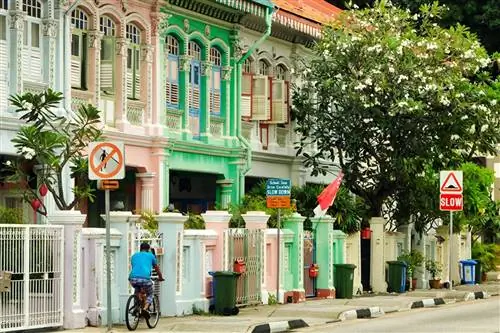 Получите лучшее представление о богатом перанаканском наследии Сингапура в Катонге.