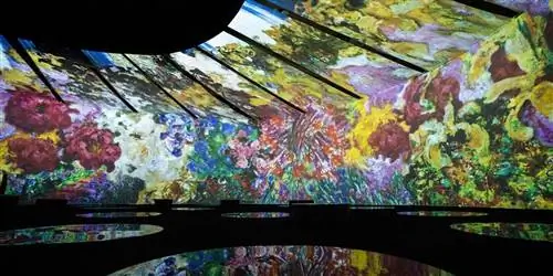 Иммерсивные художественные выставки Клода Моне открываются в городах по всему миру