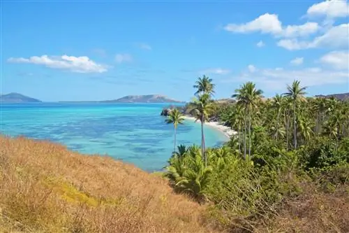 На территории Ясавы и вокруг нее было снято несколько крупных голливудских фильмов.