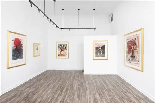 В галерее Fat City в Аспене представлены произведения современных художников, а также политические плакаты Томаса У. Бентона, который часто сотрудничал с Хантером С. Томпсоном, и собственные работы Томпсона.