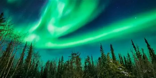 Человек, который сидит с небом