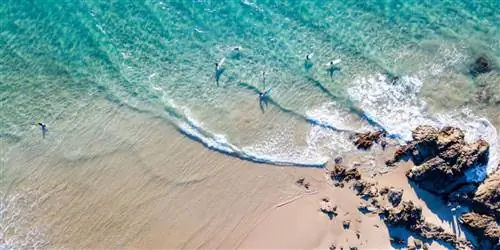 Что нового в Австралии