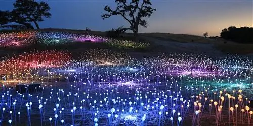 Калифорнийское потрясающее «Поле света» возвращается