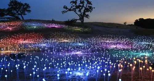 Потрясающее «Поле света» Калифорнии возвращается