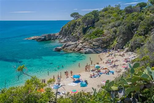 Эльба, как известно, была домом для Наполеона во время его изгнания.