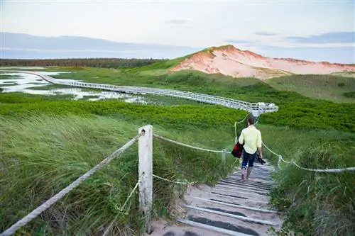 Полуостров Гринвич в P. E. I. Национальный парк является домом для поразительных дюн и пляжей.