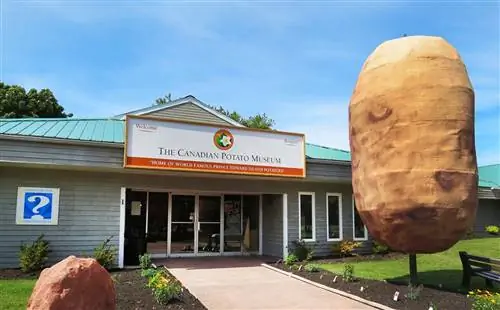 Узнайте все о картофеле в Канадском музее картофеля.