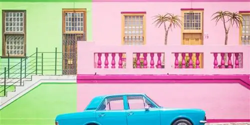 Спросите у местного: Путеводитель Чарне Сэмпсона по Кейптауну