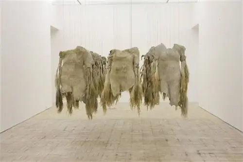 ImageEmabutfo от Nandipha Mntambo (2009)