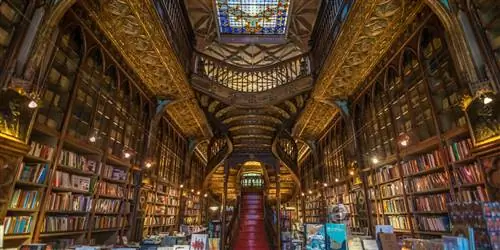 Всемирный день книги – как его отпраздновать