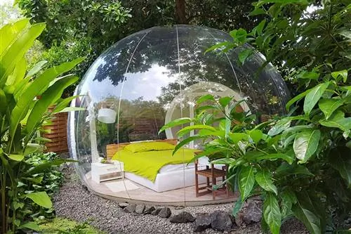 В комнатах-пузырях отеля Le Domaine des Bulles гости могут любоваться звездами, не вставая с постели.
