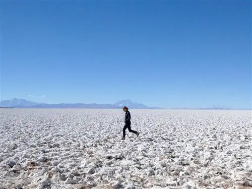 Похожая на попкорн поверхность Салар-де-Арисаро, самого большого солончака в этом районе.