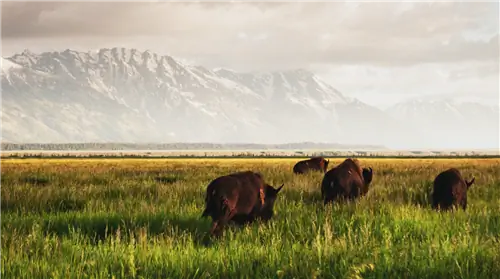 открытый-uri20171115-963-416i35